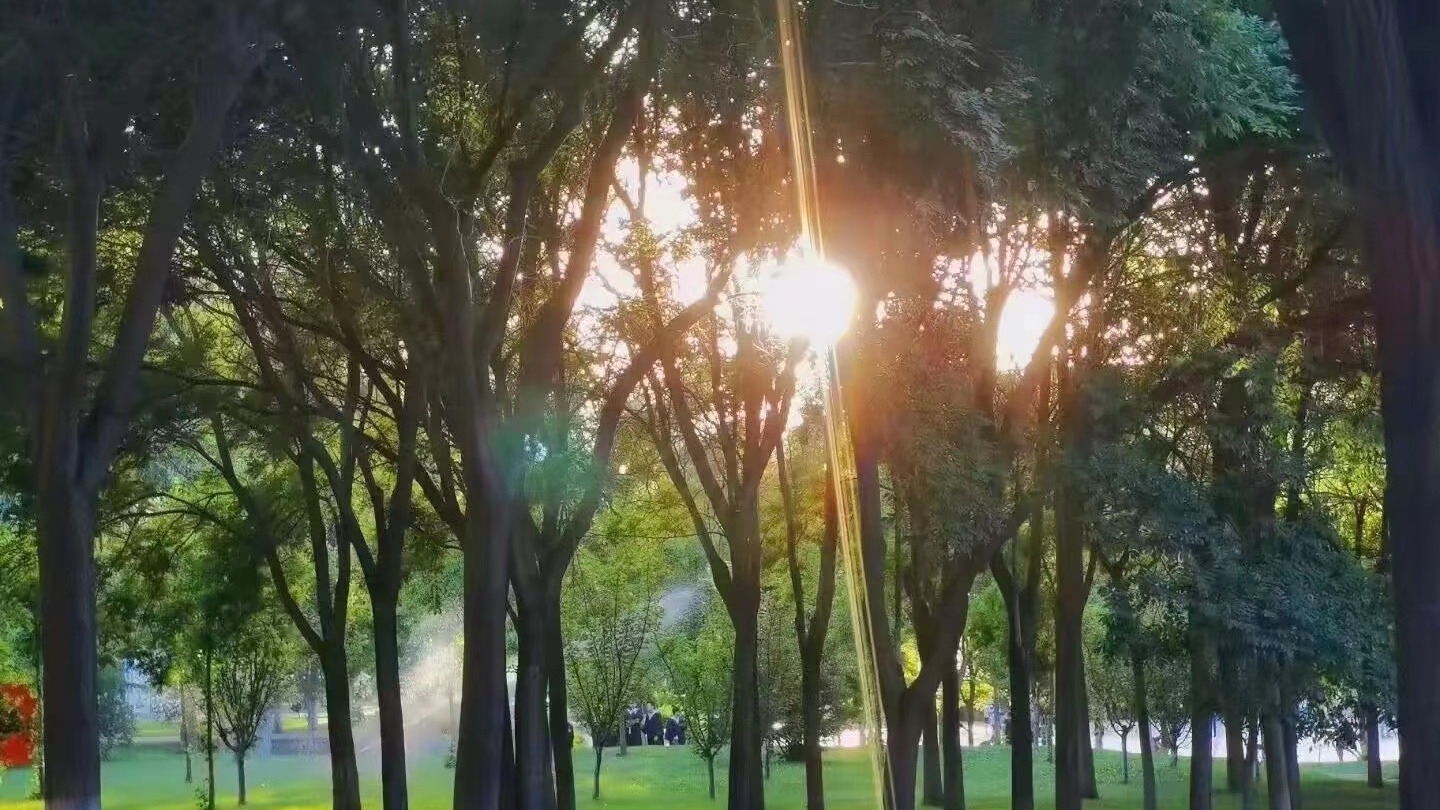 校园里那一抹靓丽的风景